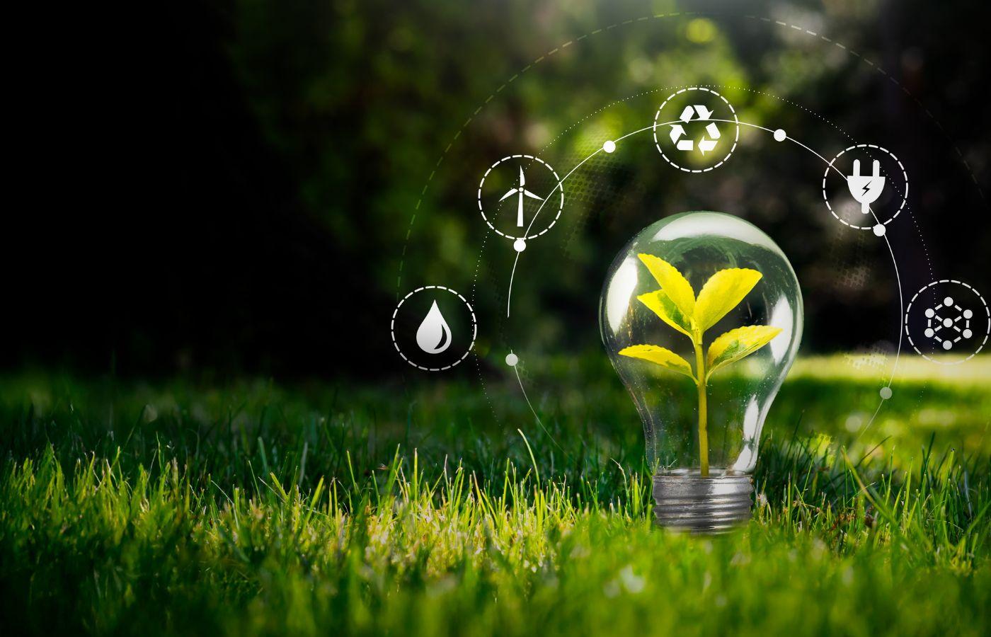 Light bulb in a grassy field, with power and energy symbols, symbolizing the impact of technology advancements on environmental sustainability